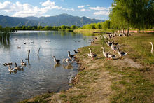昆明野鴨湖度假區