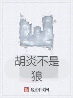 胡炎不是狼 胡炎不是狼