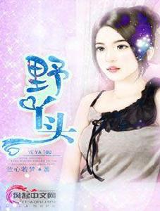 野丫頭[風起中文網小說]