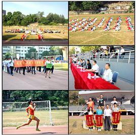 東莞東陽教學中心 東莞東陽教學中心