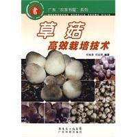《草菇高效栽培技術》