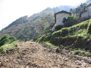 大松樹自然村 大松樹自然村