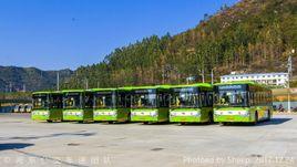 霞浦公交 霞浦公交