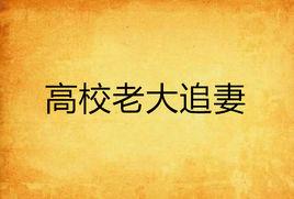 高校老大追妻 高校老大追妻