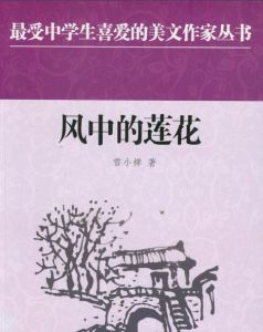 風中的蓮花 風中的蓮花
