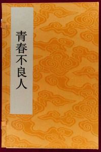 青春不良人 青春不良人