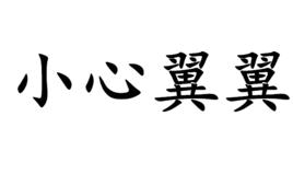 小心翼翼 小心翼翼