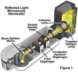 柯勒照明 柯勒照明