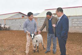 畜疫防治站 畜疫防治站