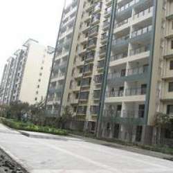 羅蘭小鎮 羅蘭小鎮