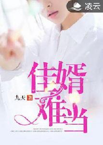 佳婿難當 佳婿難當