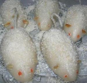 豆沙糯米白老鼠