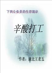 《下崗公務員的生存現狀：辛酸打工》