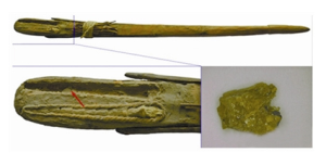 法杖及法杖上的牛膠殘留物