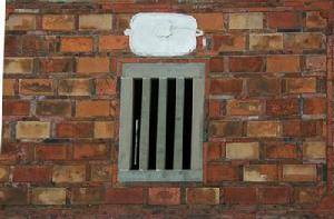 金瓜蓮花---蓮生貴子