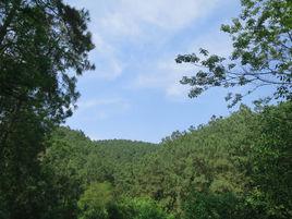 五象嶺森林公園 五象嶺森林公園