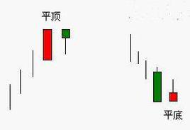 平頭形態 平頭形態