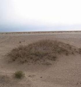 熱帶半乾旱氣候 熱帶半乾旱氣候