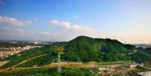 碧湖森林公園 碧湖森林公園