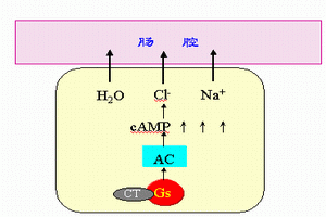 甲狀旁腺功能減退症