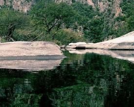 黃石庵森林生態旅遊區 黃石庵森林生態旅遊區