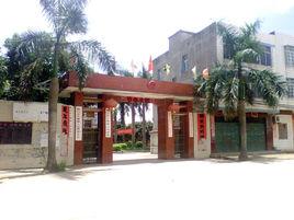 大壩鎮[廣西博白縣轄鎮]