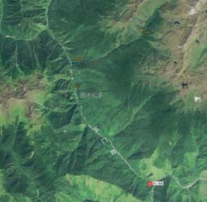 曲木松多 曲木松多