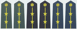 陸海空軍中尉常服肩章