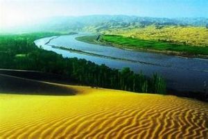 準喝爾苔草 準喝爾苔草