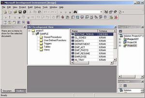 Visual InterDev Visual InterDev
