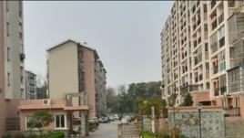 長房·鳳凰苑 長房·鳳凰苑