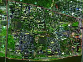 員村街道 員村街道