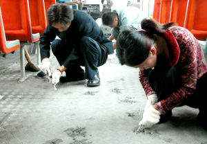 （圖）口香糖污染公車現狀