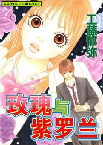 玫瑰與紫羅蘭 玫瑰與紫羅蘭