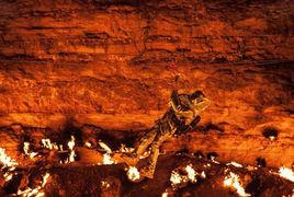 喬治·康羅尼斯 喬治·康羅尼斯