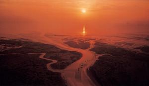 黃河三角洲國家級自然保護區
