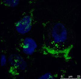 納米複合材料 納米複合材料