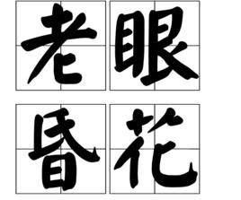 老眼昏花 老眼昏花