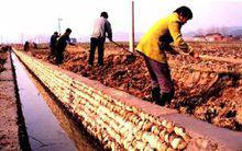 石潭鎮農業發展