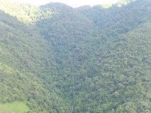 小芒來自然村 小芒來自然村