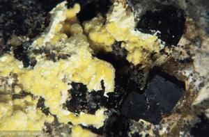 鈾礦石放射性顯明度 鈾礦石放射性顯明度