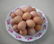 紅殼蛋和白殼蛋
