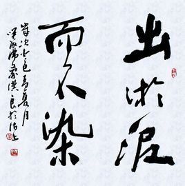 出淤泥而不染 出淤泥而不染