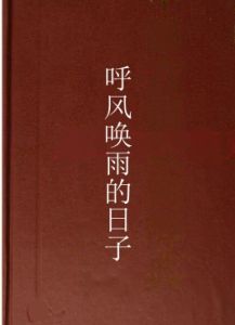 呼風喚雨的日子 呼風喚雨的日子