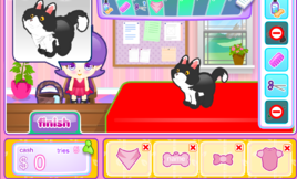 經營寵物美髮沙龍 經營寵物美髮沙龍