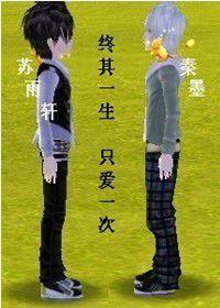 終其一生,只愛一次 終其一生,只愛一次