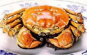 高淳螃蟹 高淳螃蟹