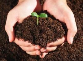 生物有機肥 生物有機肥