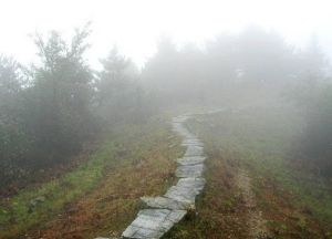 嘯天龍古道 嘯天龍古道