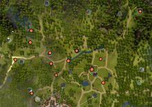 黑色沙漠[MMOARPG 網路遊戲]